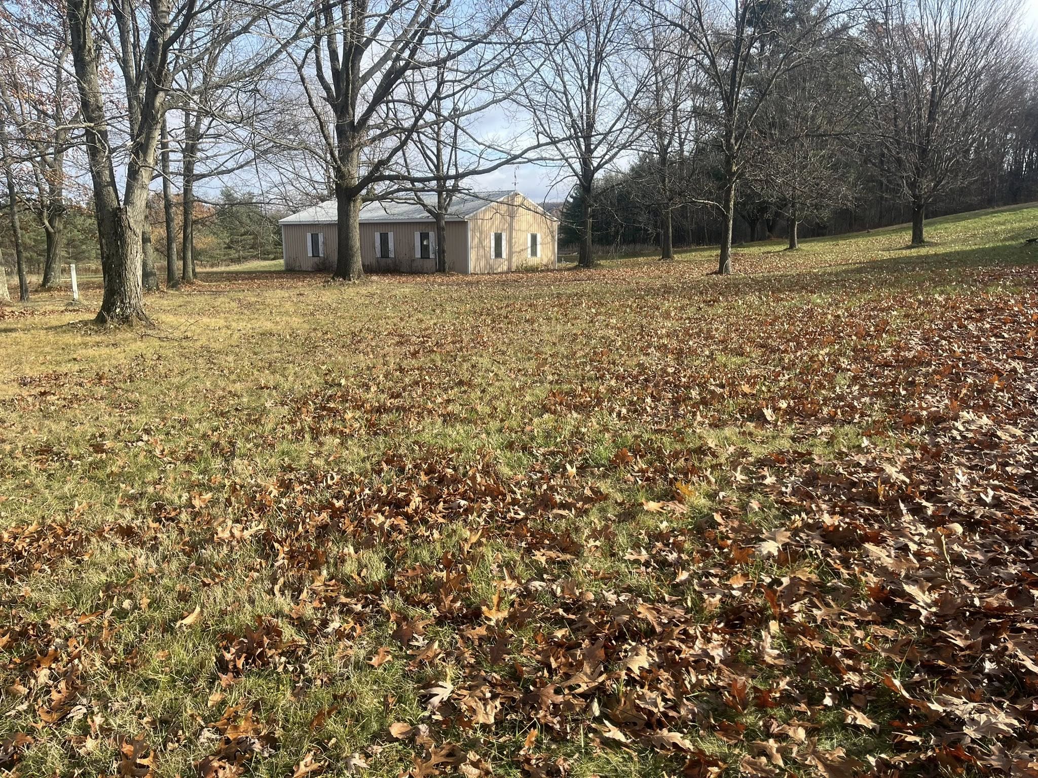 Yard covered in fall leaves before a leaf removal cleanup