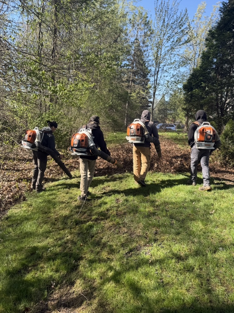 Four-person crew clearing thick leaves with backpack blowers