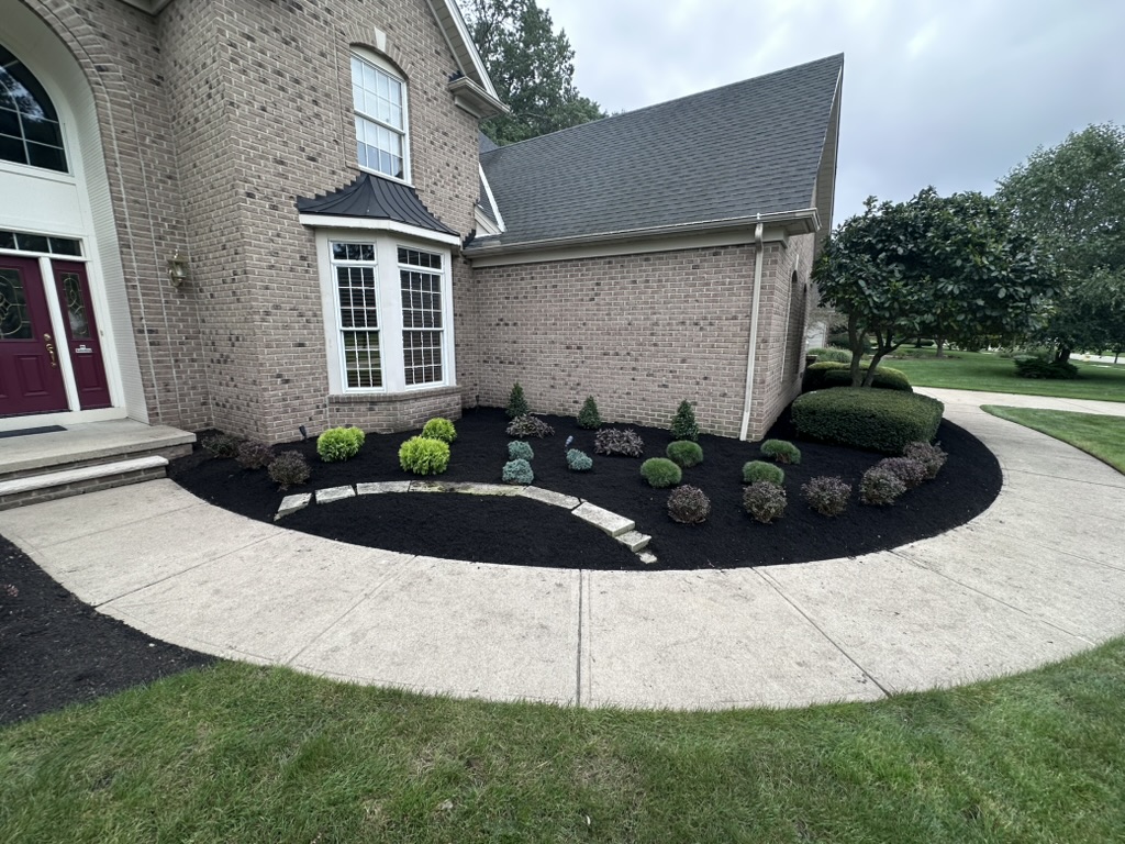 Front bed with fresh black mulch and shaped shrubs