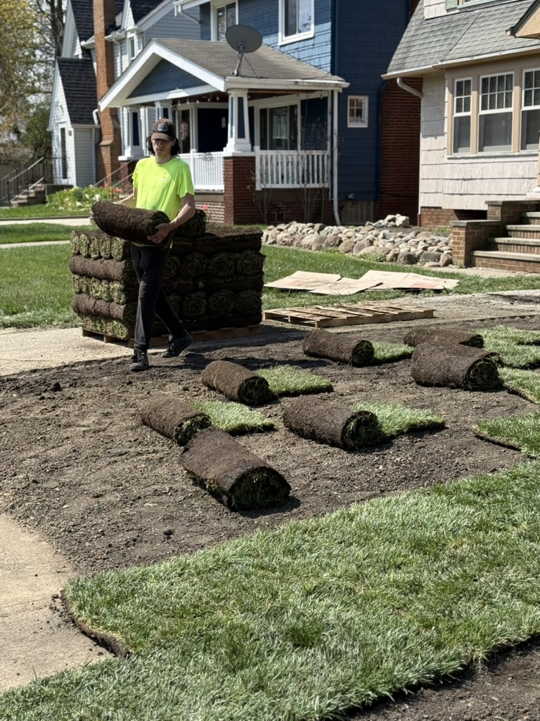 Crew member carrying a roll of sod across a front yard