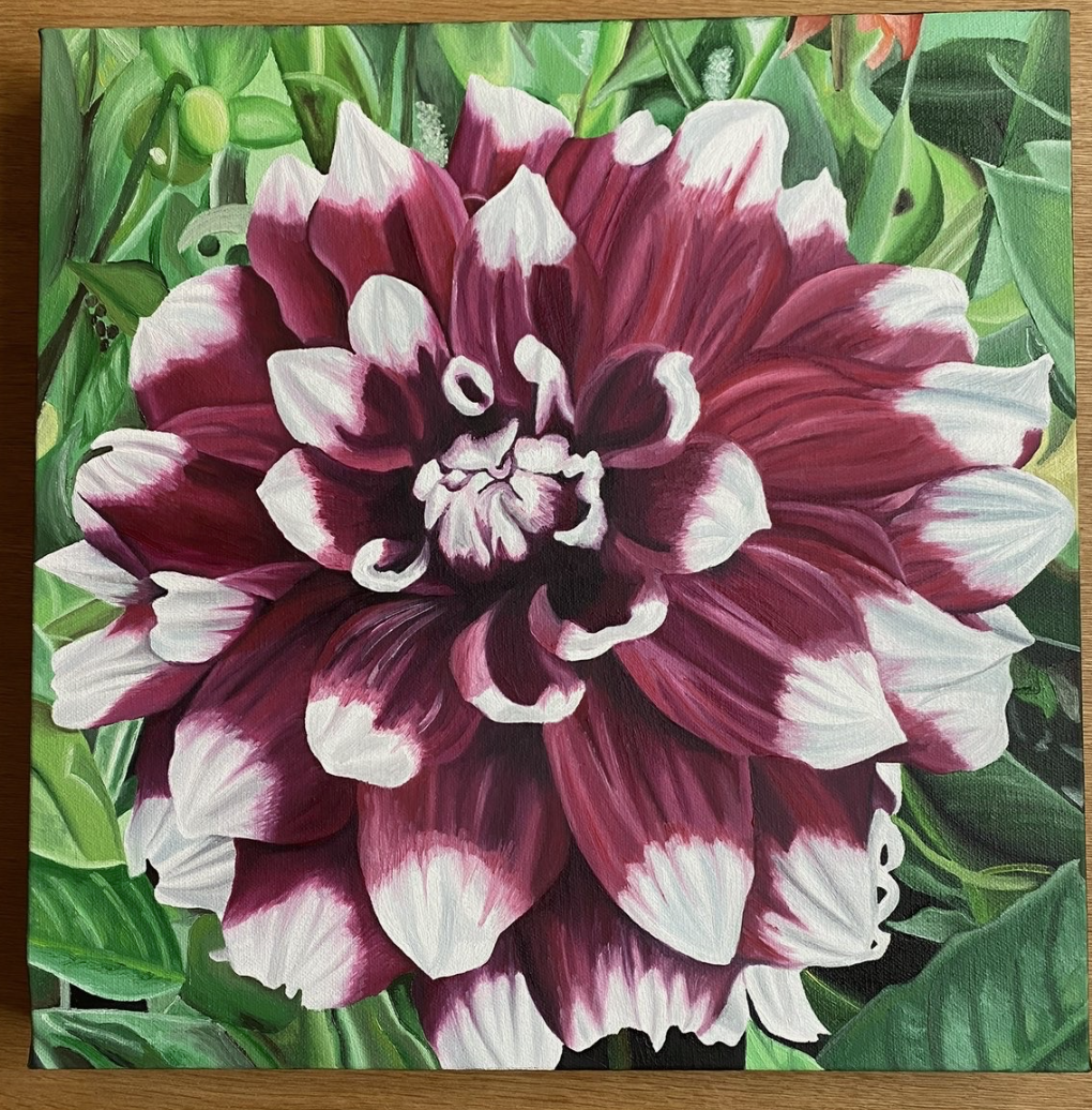 Dahlia