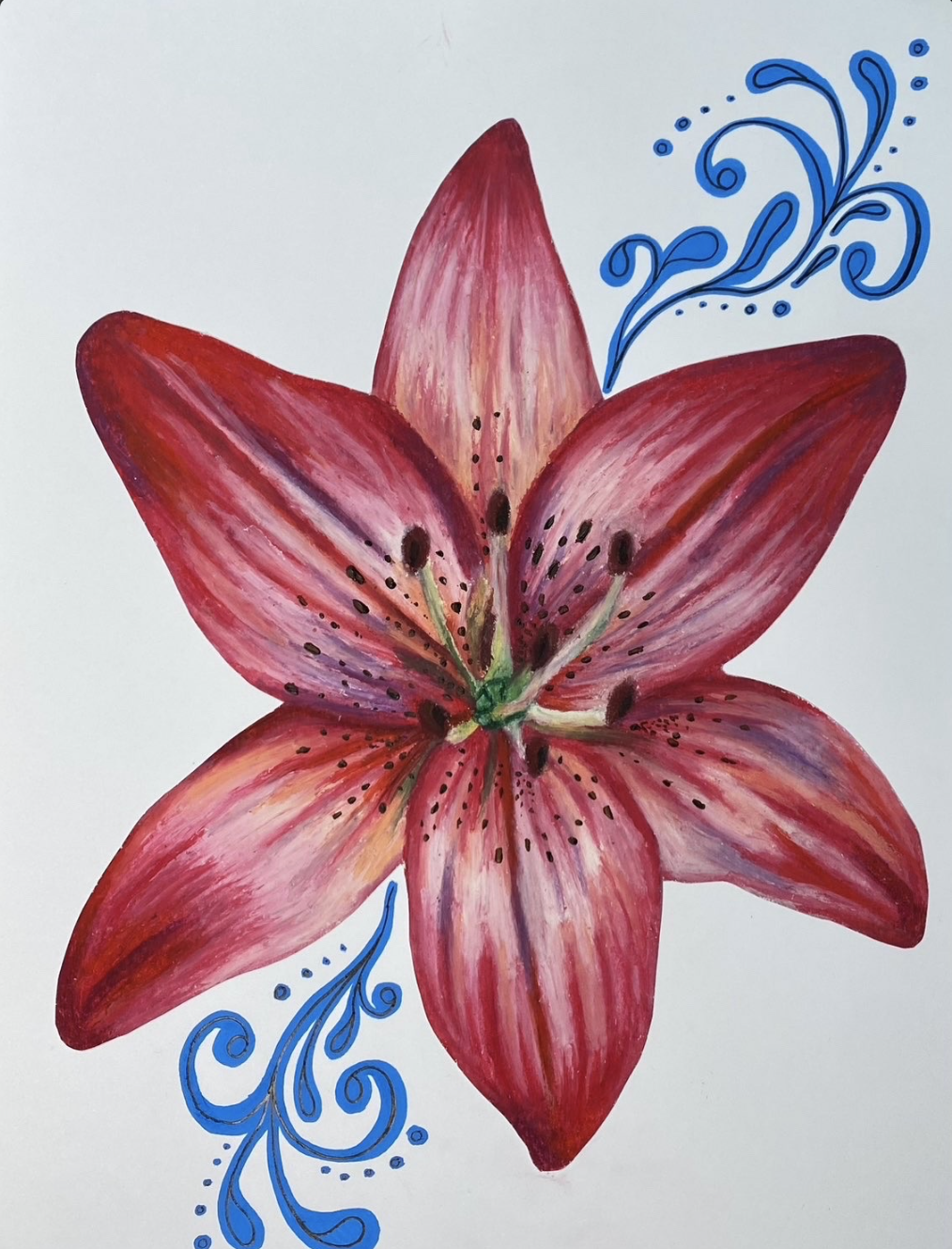 Stargazer Lily