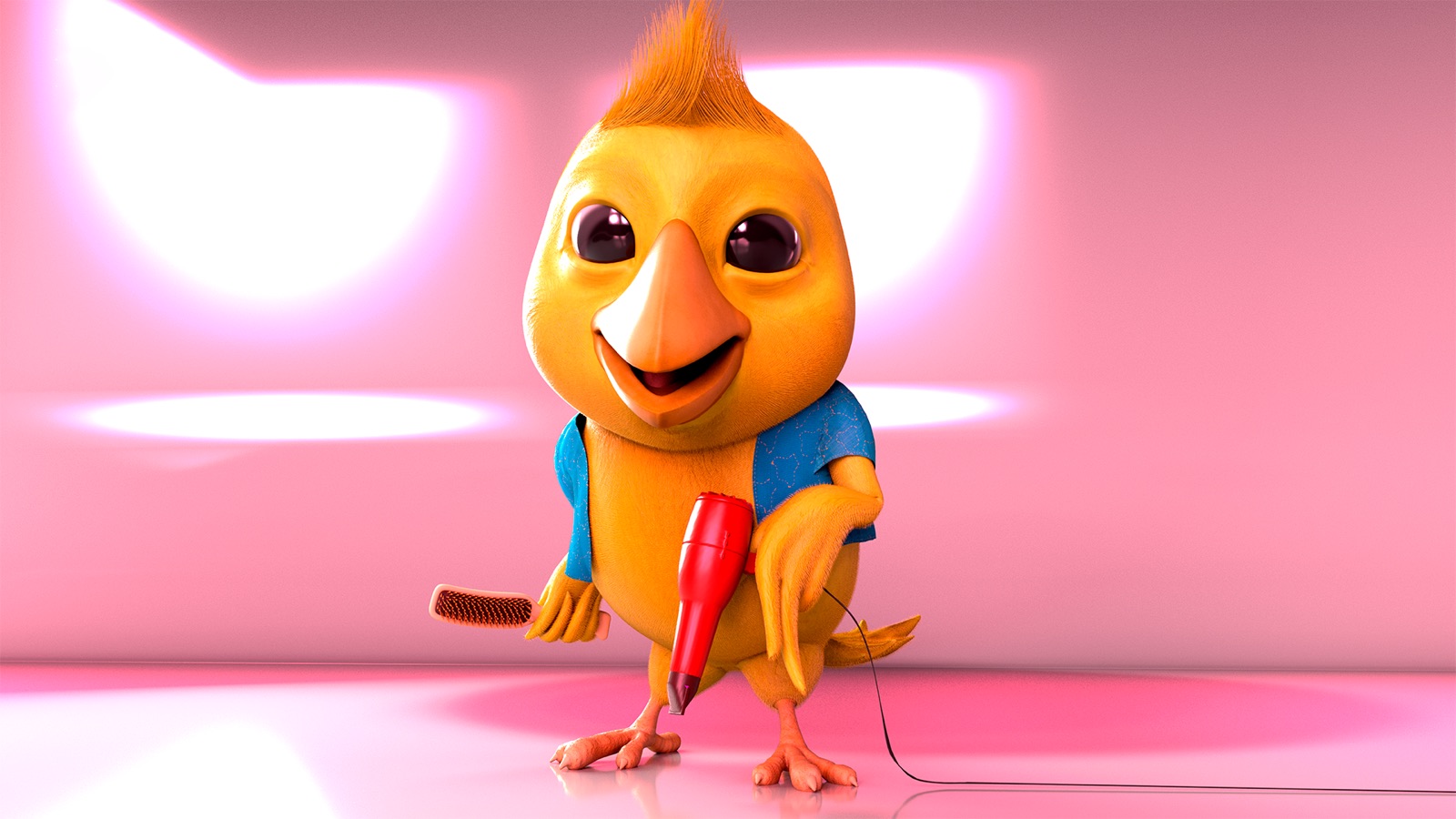 Canarinho com secador e pente