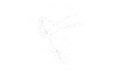 STIEDM