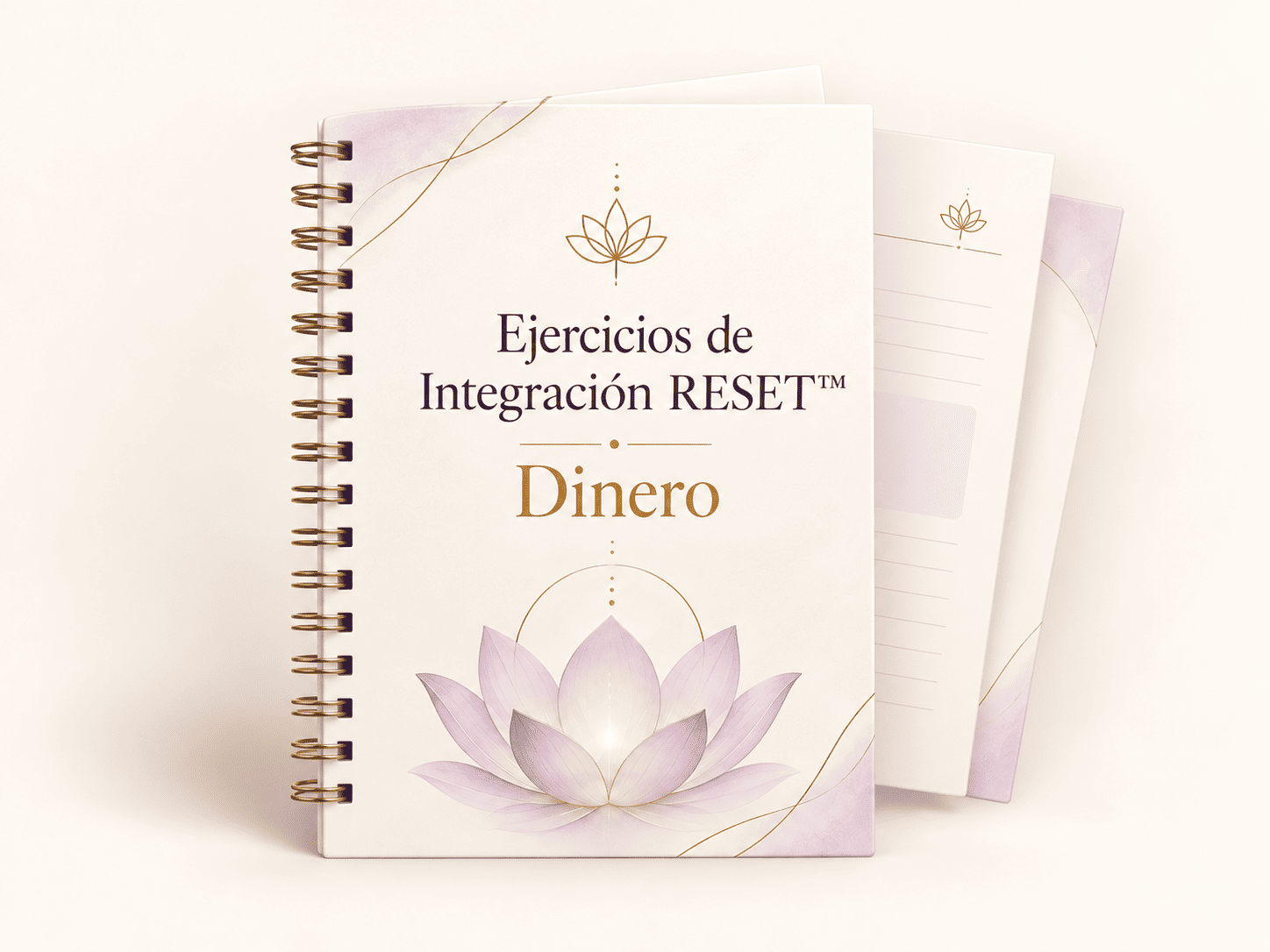 Ejercicios de Integración RESET™