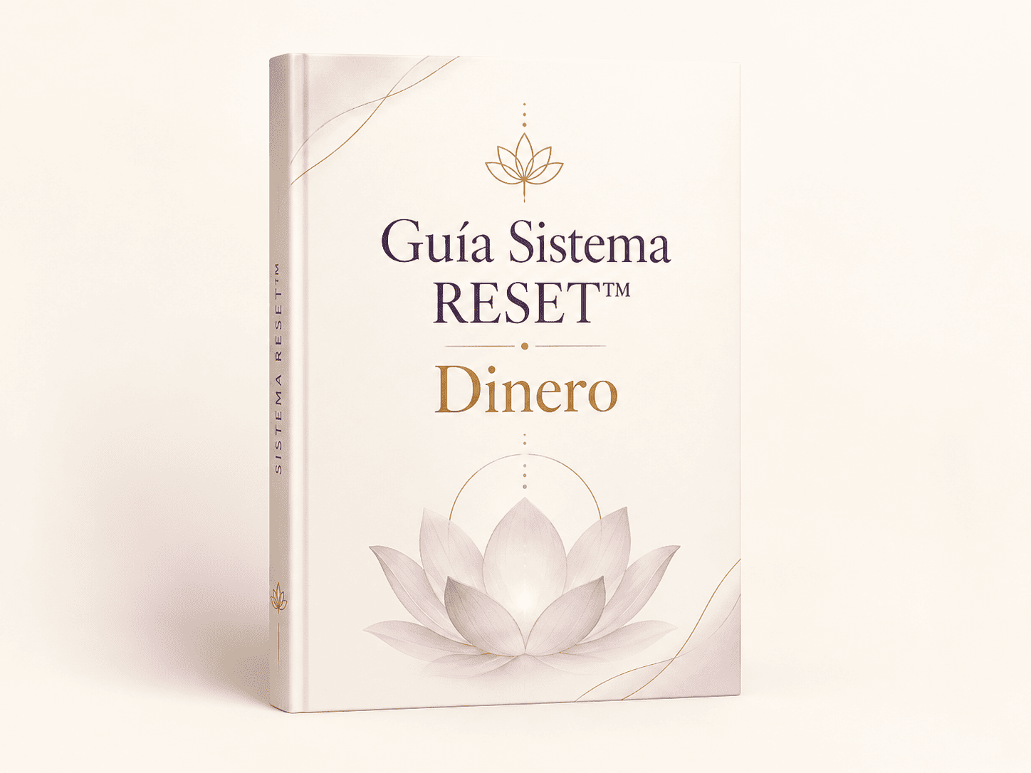 Guía Sistema RESET™ · Dinero