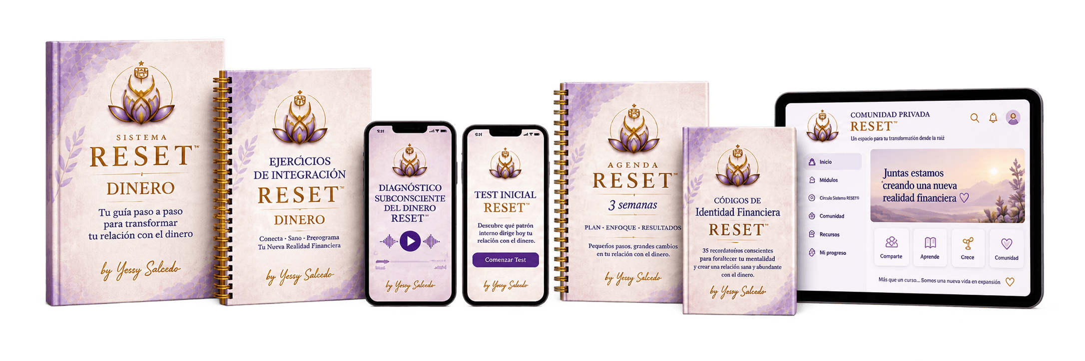Contenido completo de Sistema RESET™ · Dinero