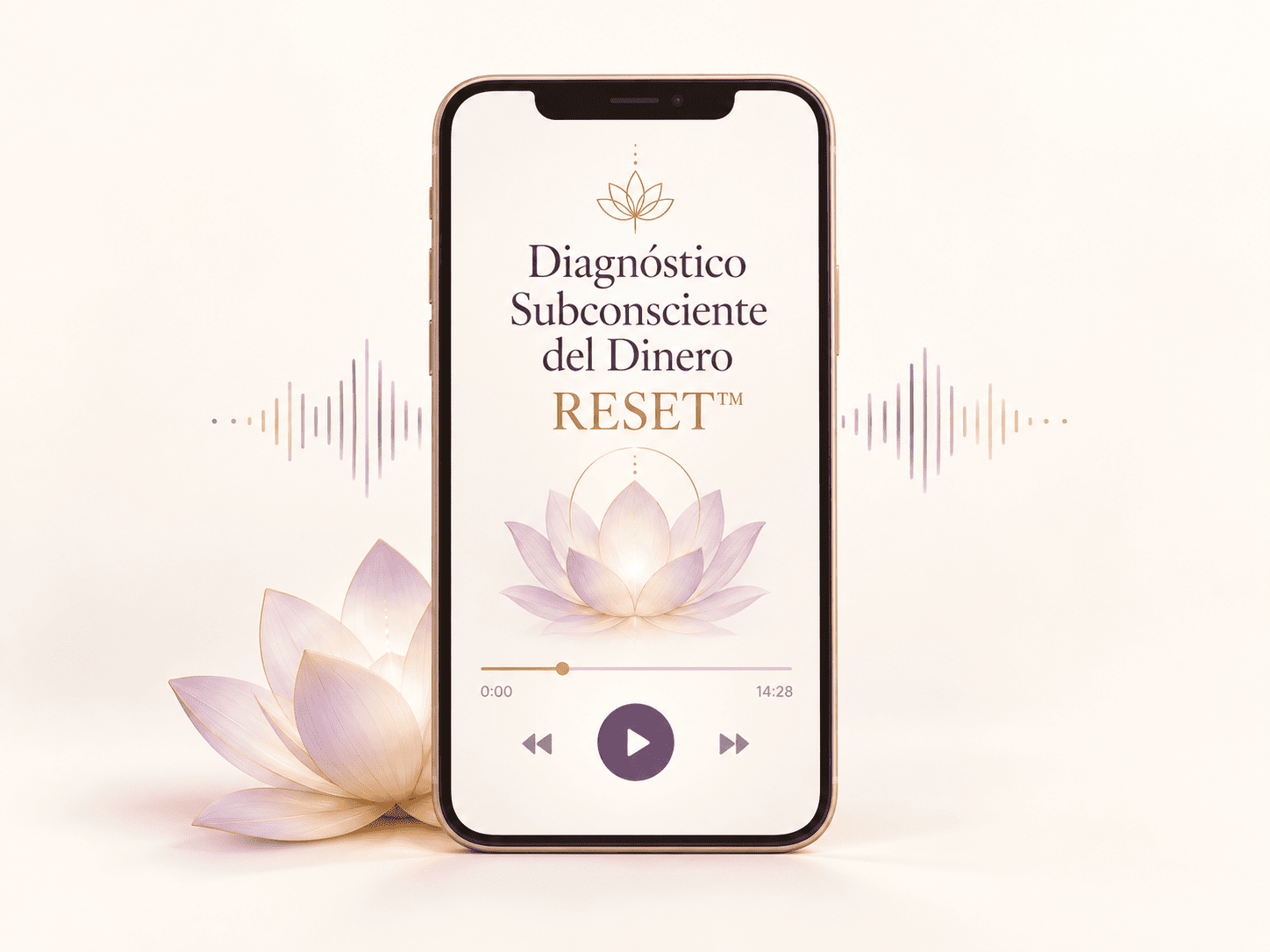 Diagnóstico Subconsciente del Dinero RESET™