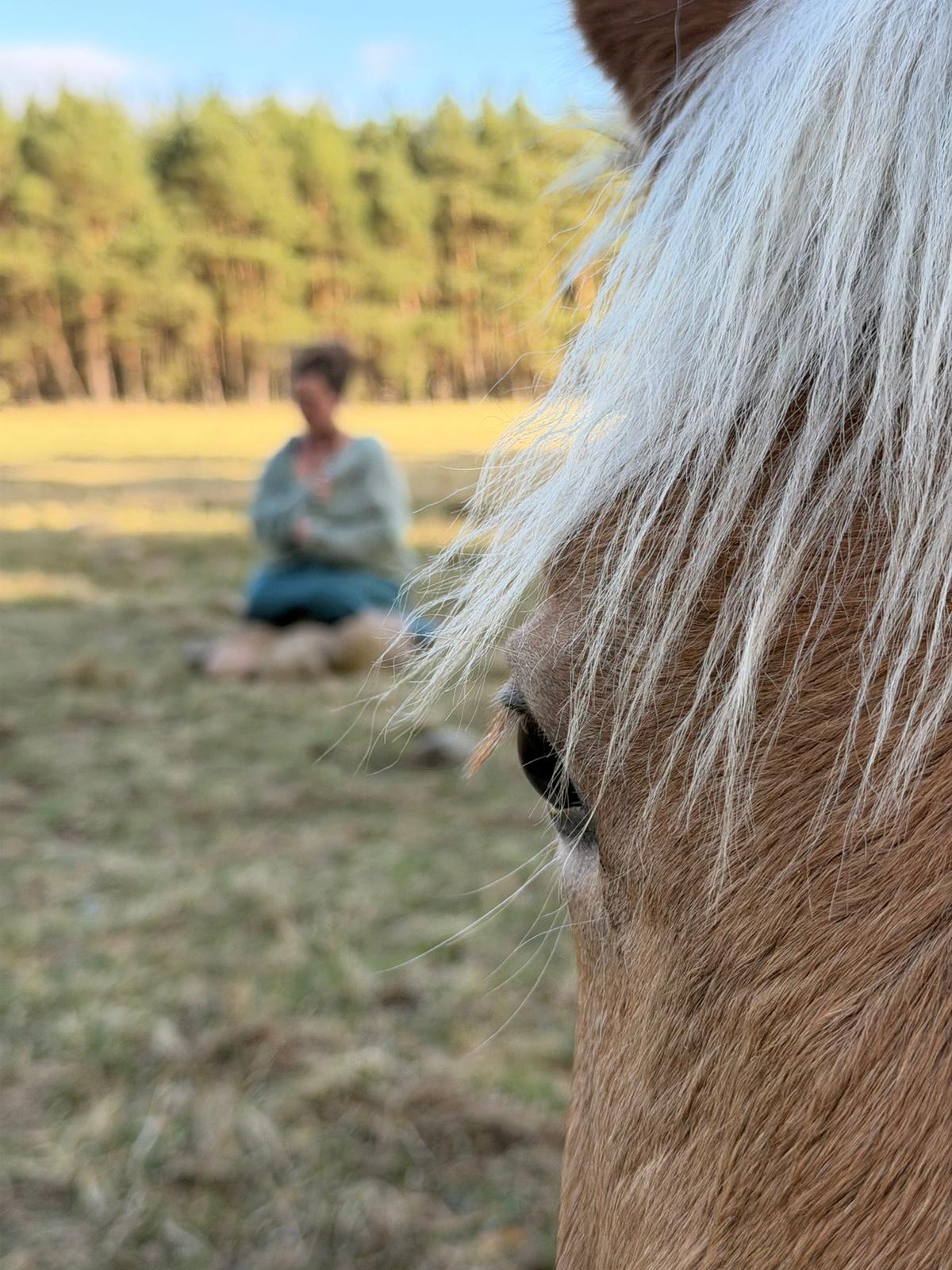 Melanie mit Pferd