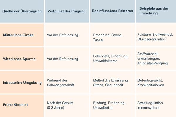 Tabelle mit 4 Spalten und 5 Zeilen