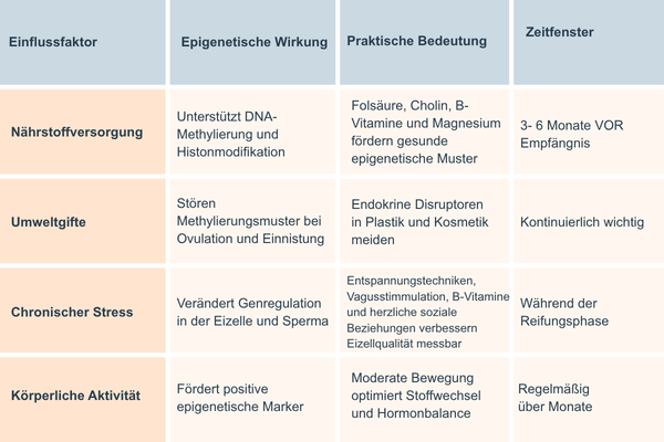 Tabelle mit 4 Spalten und 5 Zeilen