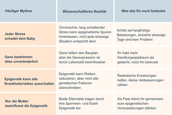 Tabelle mit drei Spalten und 5 fünf zeilen