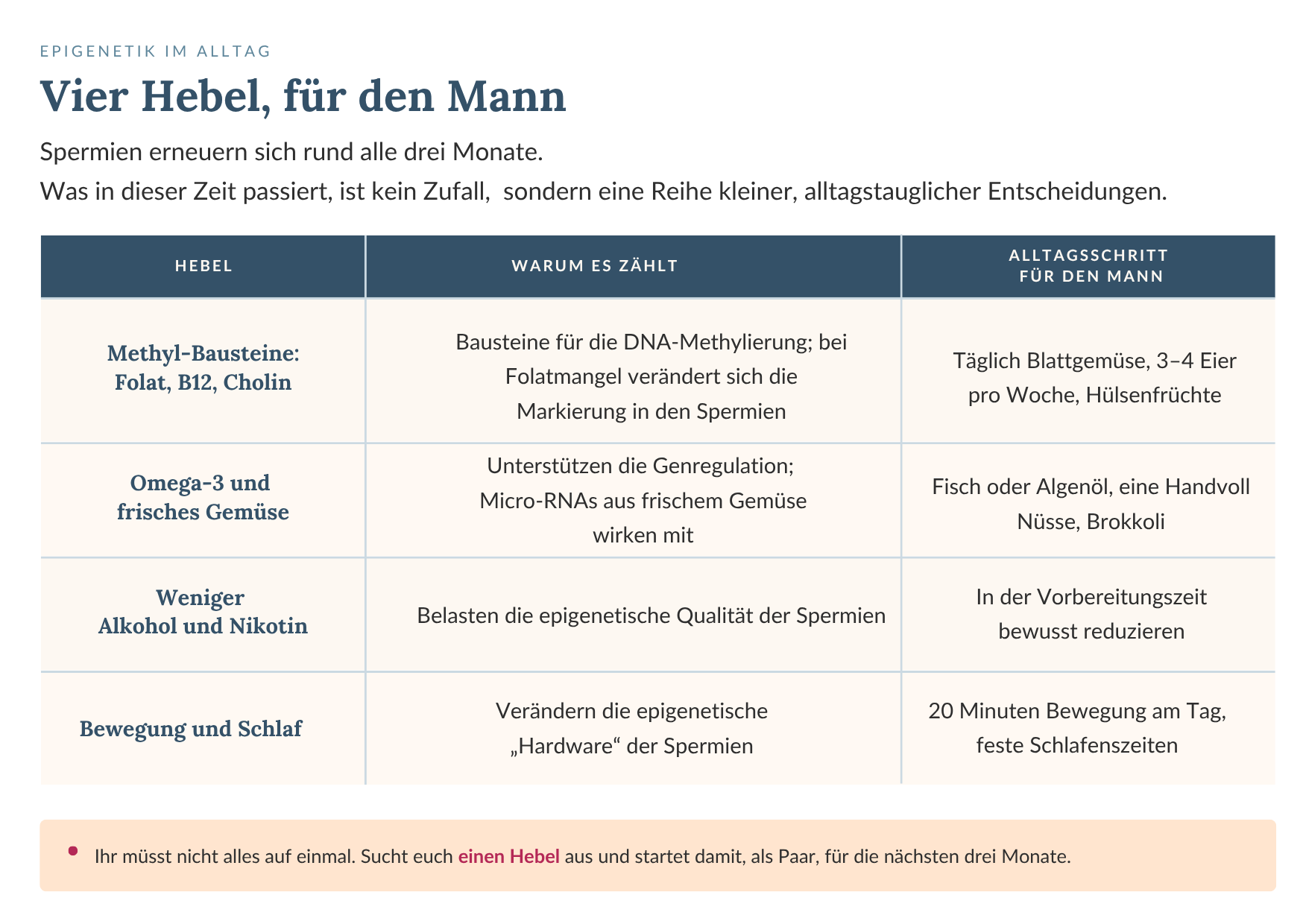 Tabelle mit drei Spalten und vier Zeilen. 