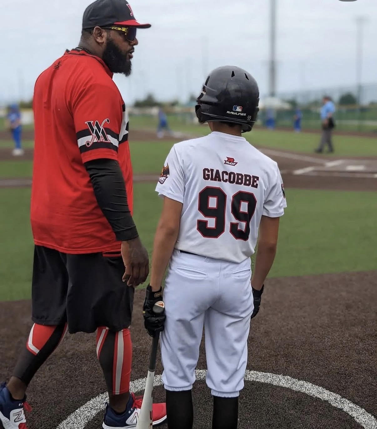 Private Hitting Lessons Tampa