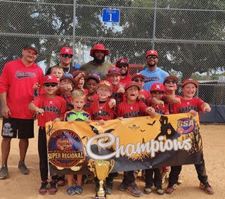 Travel Ball in Tampa