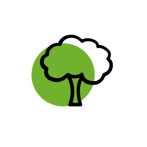 Áreas Verdes