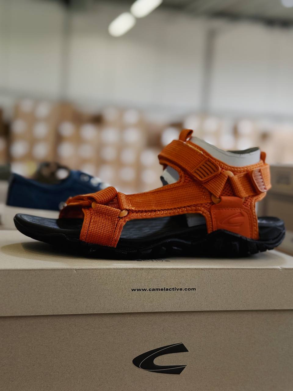 Camel Active Shoes