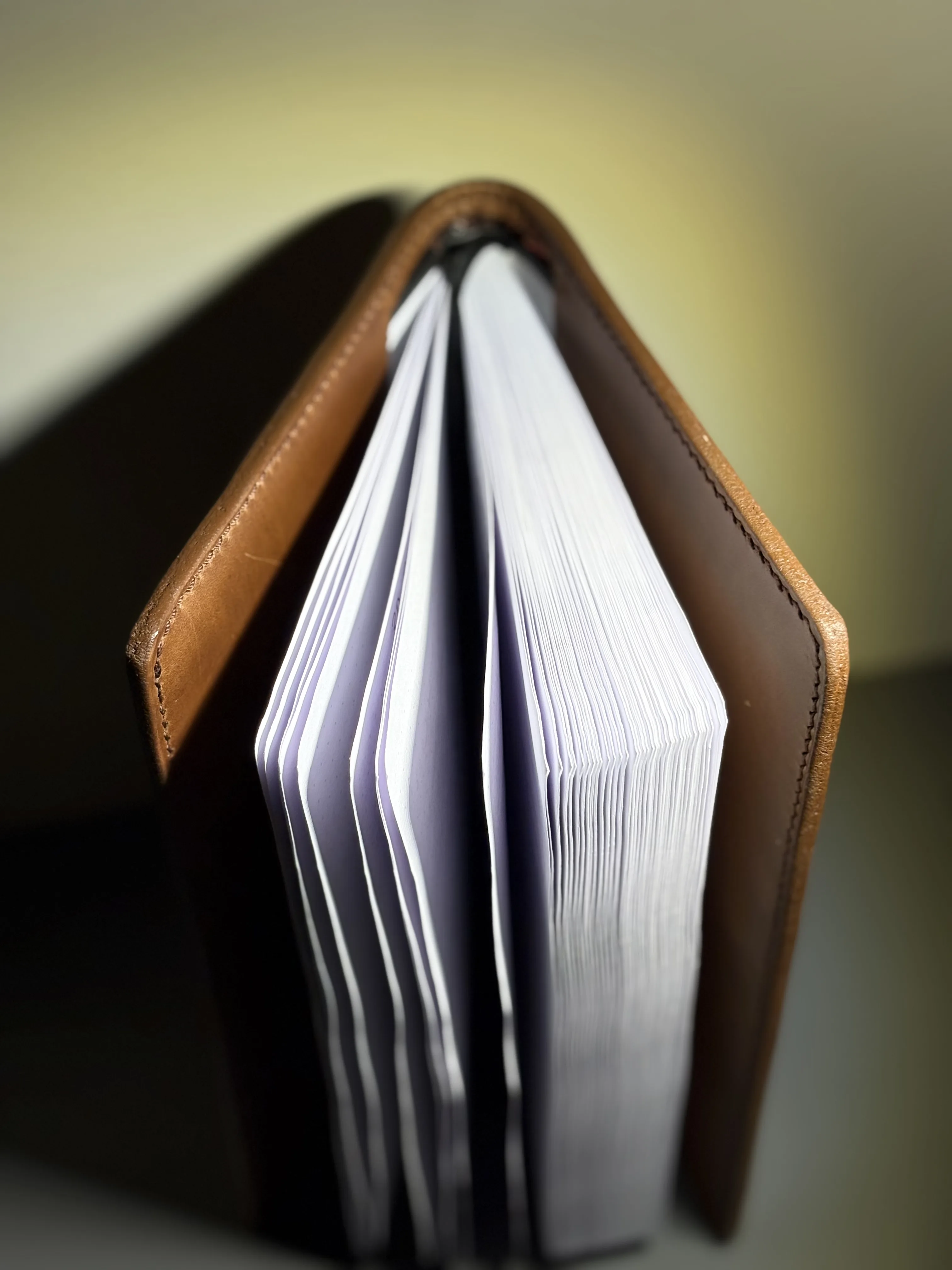 open pages of a brown leather book
