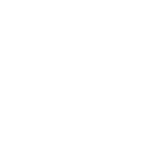 Learns Leather Co Logo