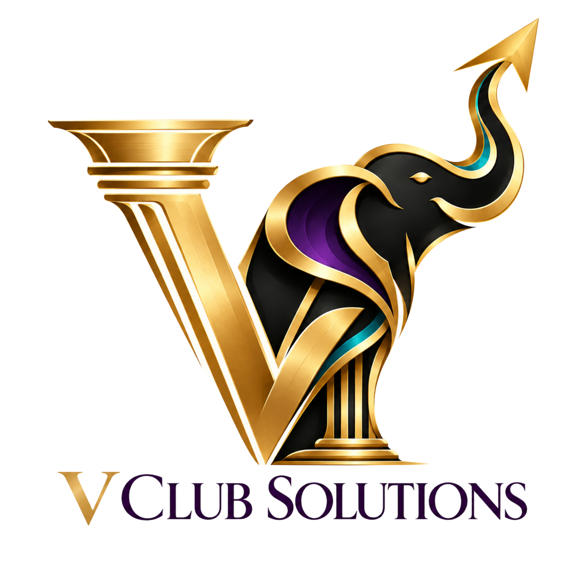 V Club Solutions