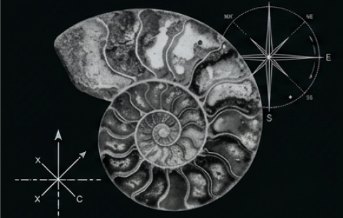 Fossilised ammonite with compass drawings