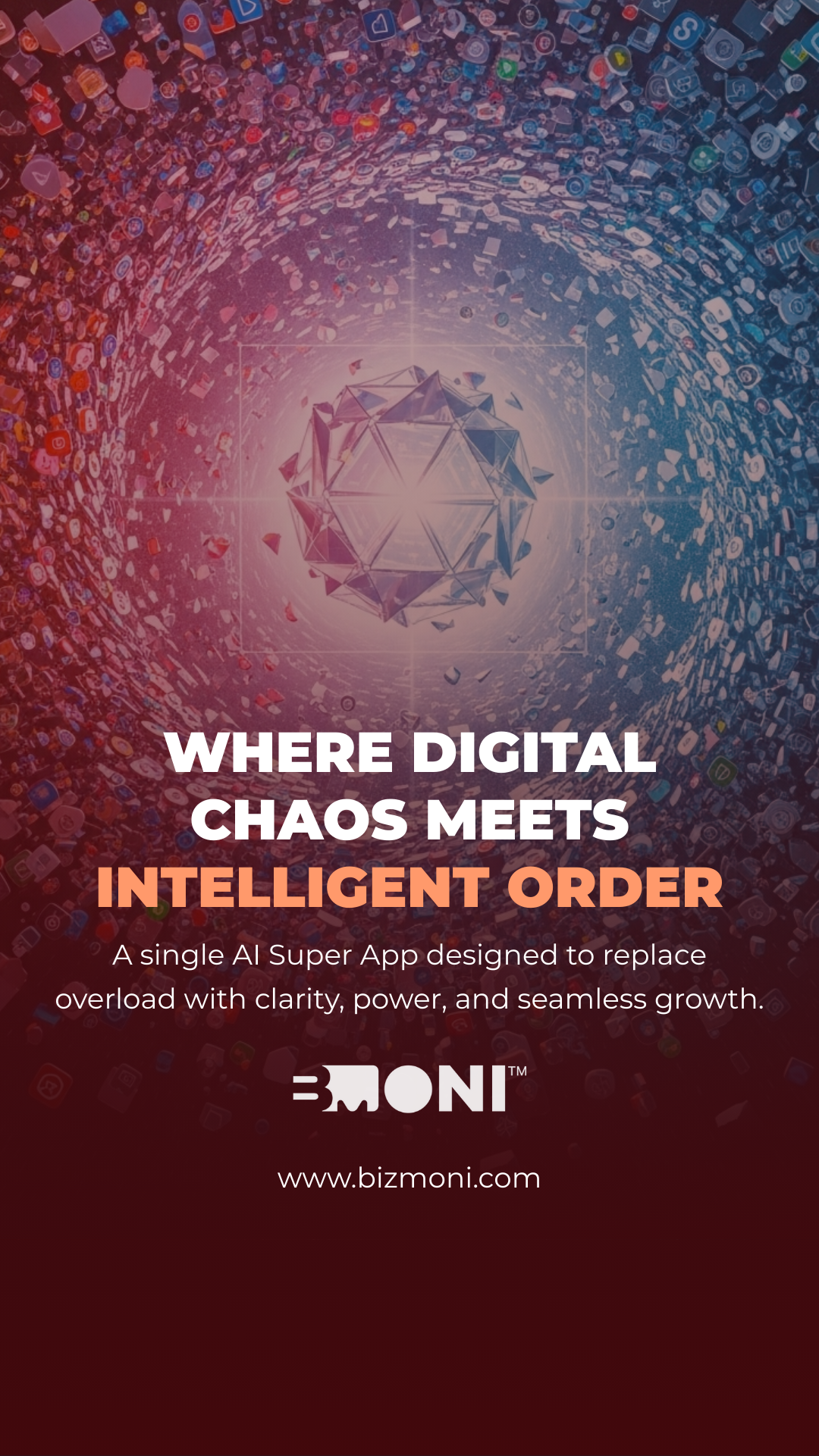 What Is Bizmoni?