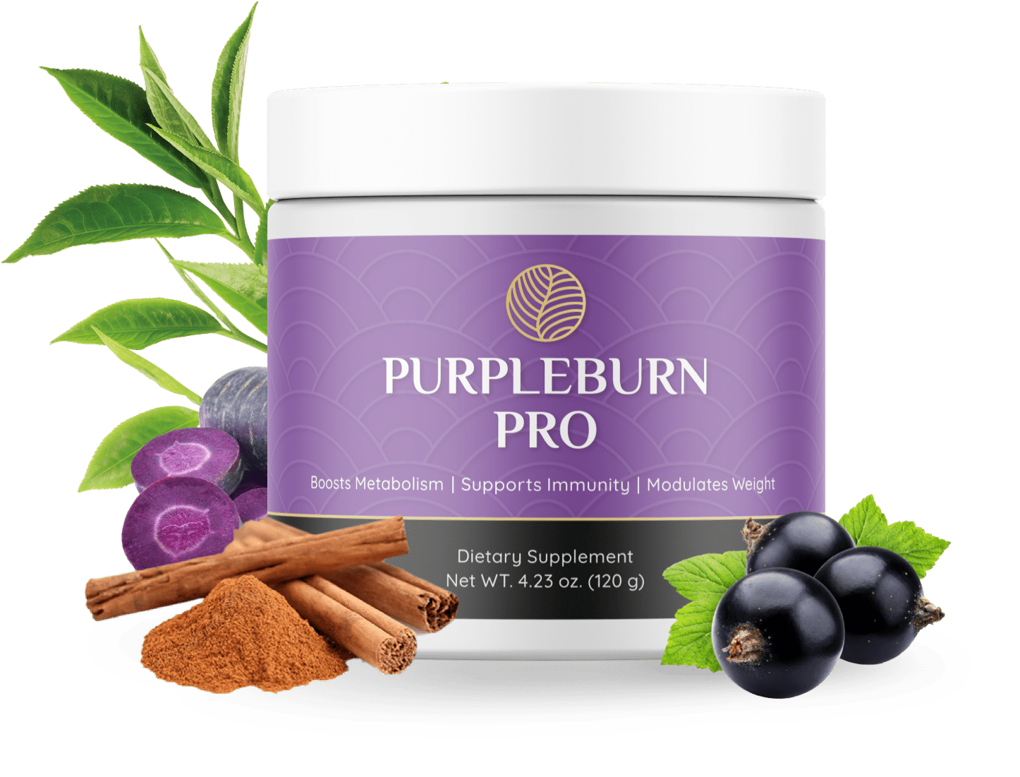 Purpleburn Pro bottles 1