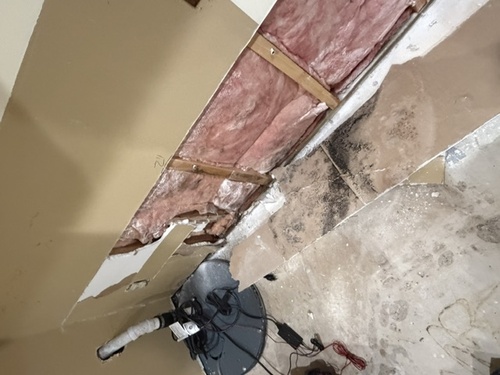 Mold Remediation & Removal Washington County, WI