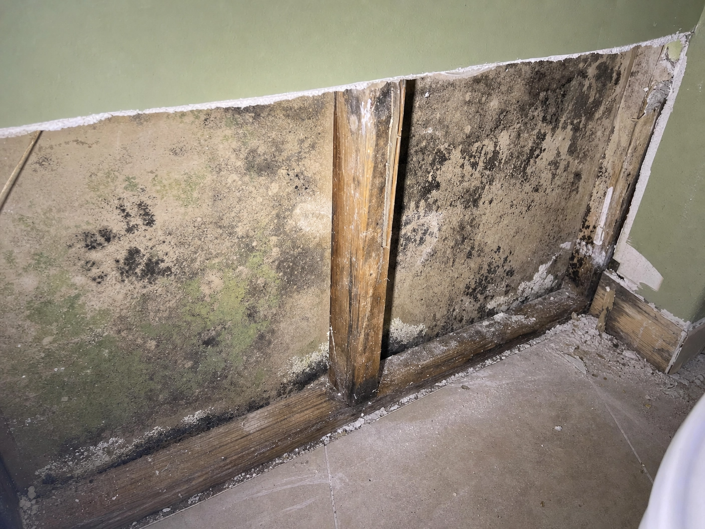 Mold Remediation & Removal in Washington County, WI