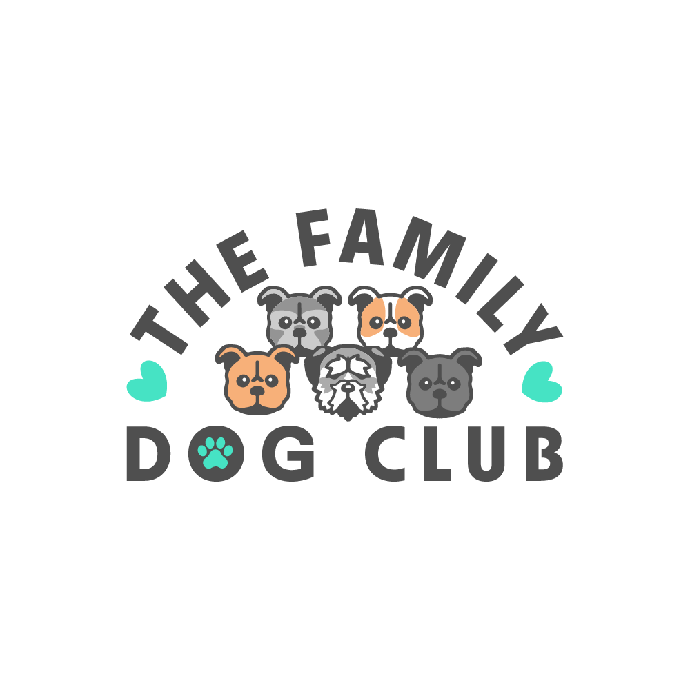 Expert puppy training classes in hampshire southampton