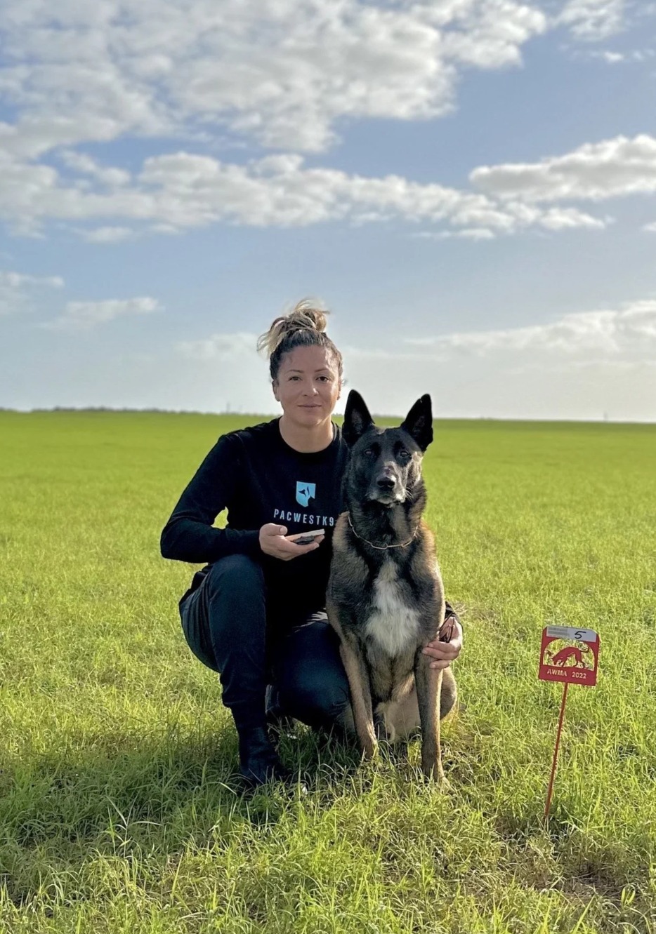 How to Build a Calm Family Dog: Routine, Boundaries, and the Off Switch