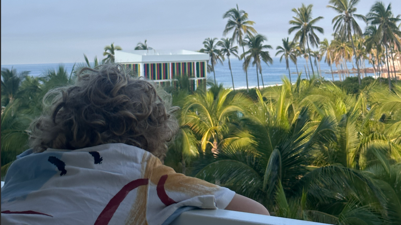 Looking out over palm trees and the ocean in Mazatlán, Mexico