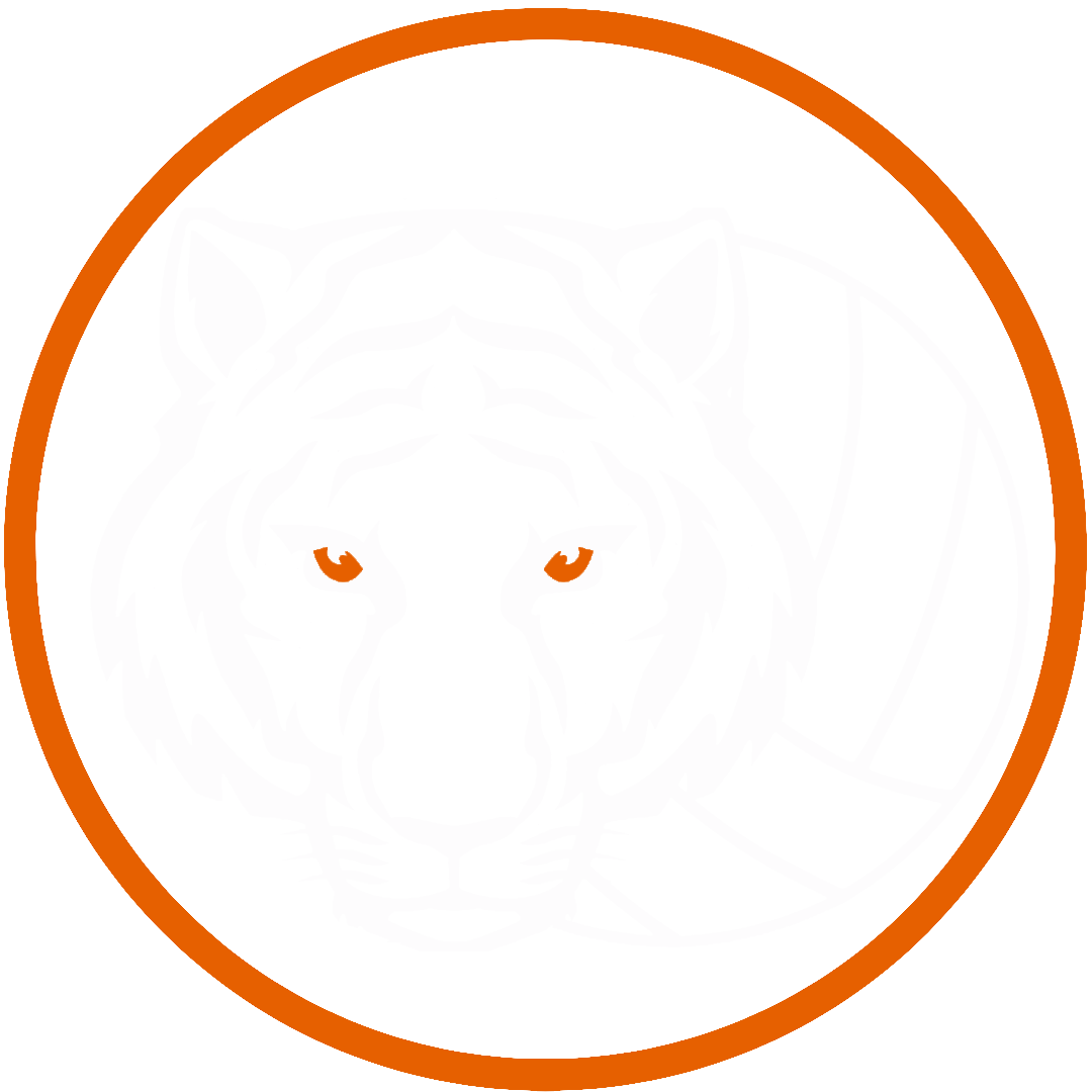 iCrush Volleyball Logo
