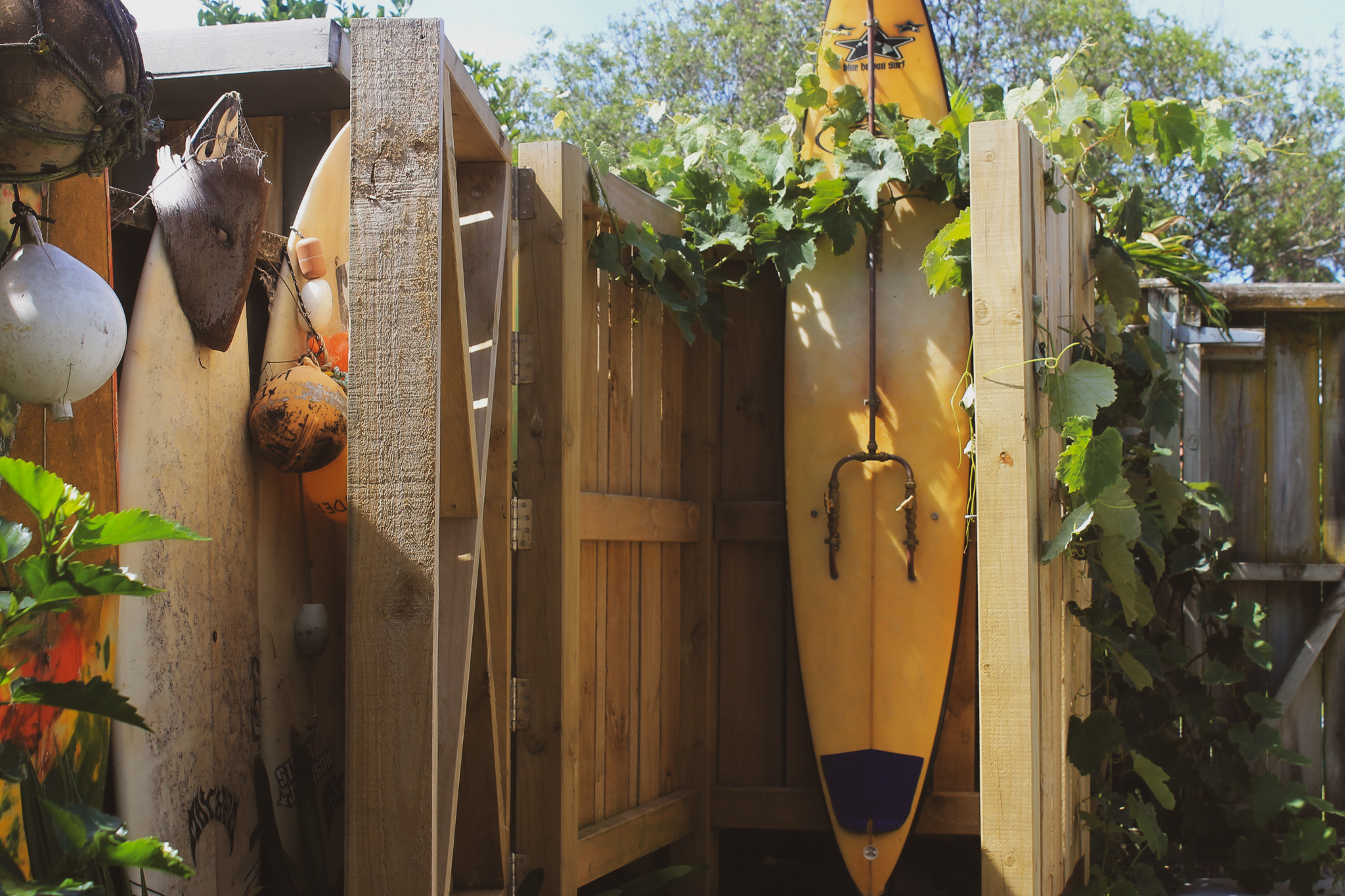 Garden & Landscape Maintenance
