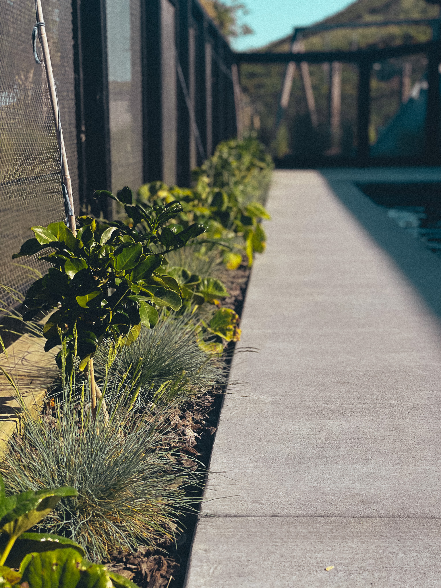 Planting (Native & Sub-tropical)