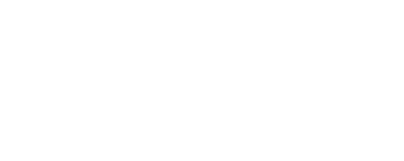 Straightline Custom Painting Logo