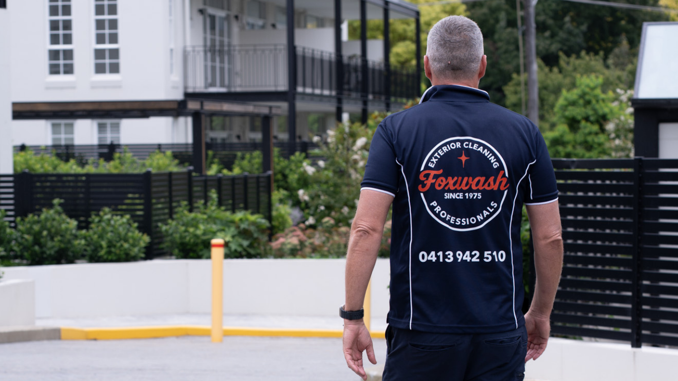Window cleaning at a waterfront residence in Sydney's Eastern Suburbs