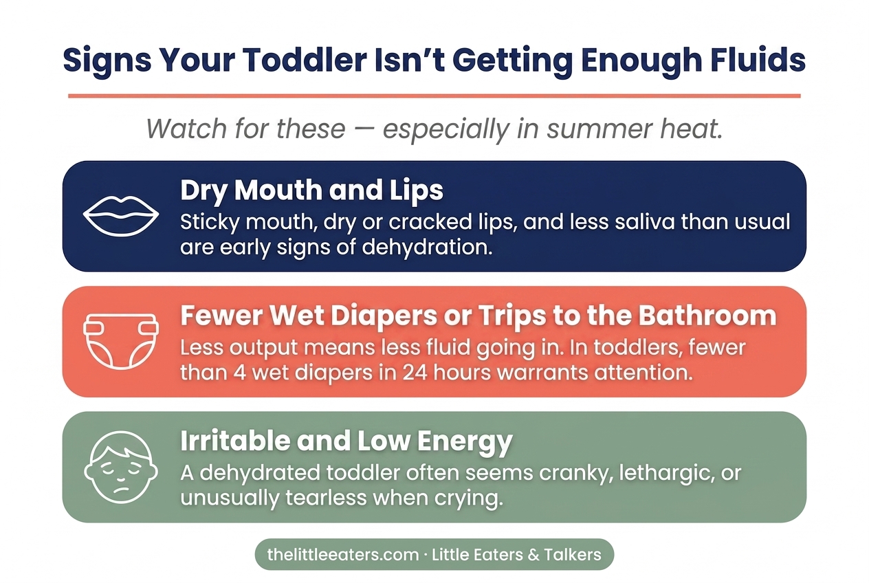 Signs your toddler isn't getting enough fluids — infographic by Little Eaters & Talkers Signs your toddler isn't getting enough fluids — infographic by Little Eaters & Talkers