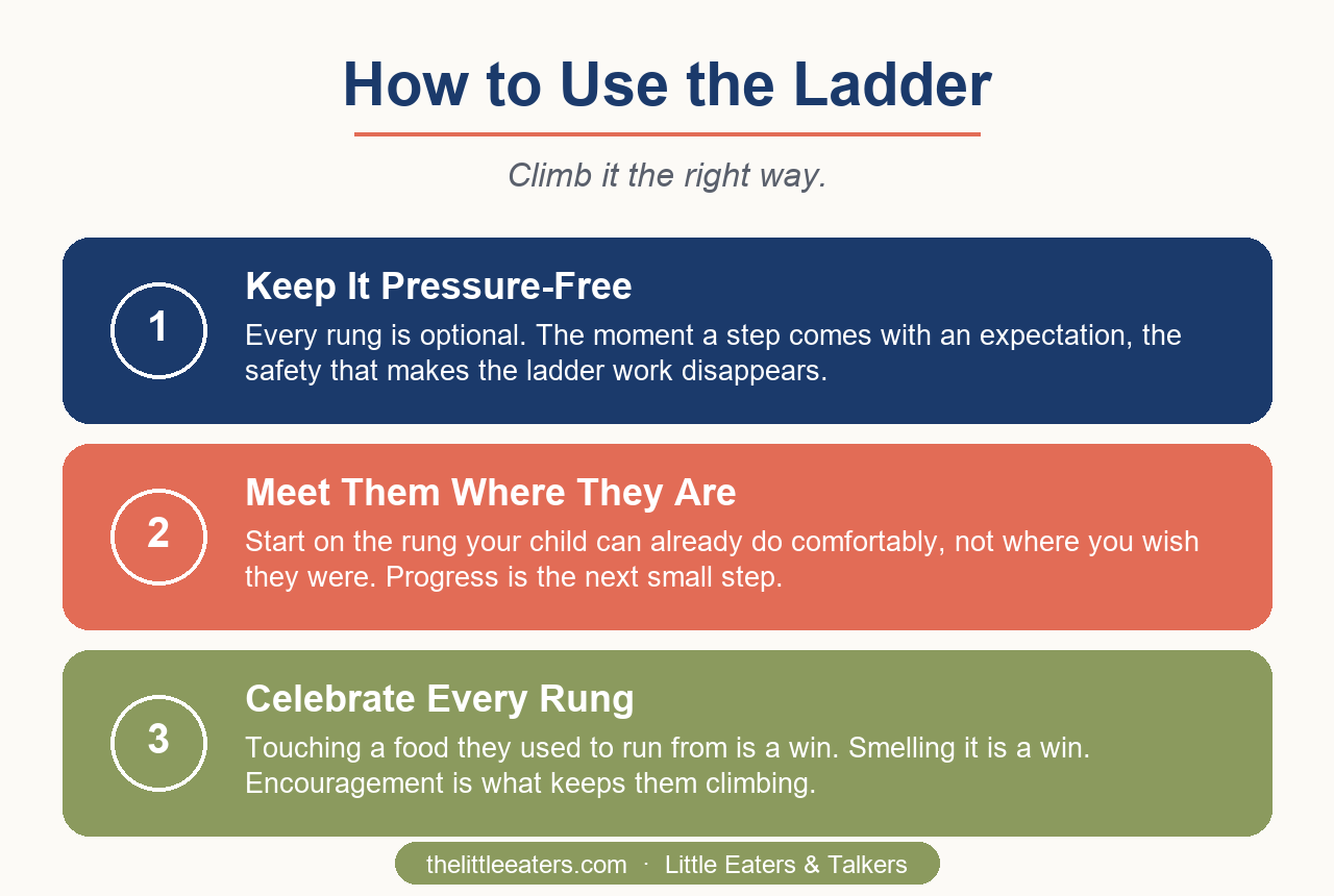 How to use the sensory steps ladder at home - Little Eaters and Talkers