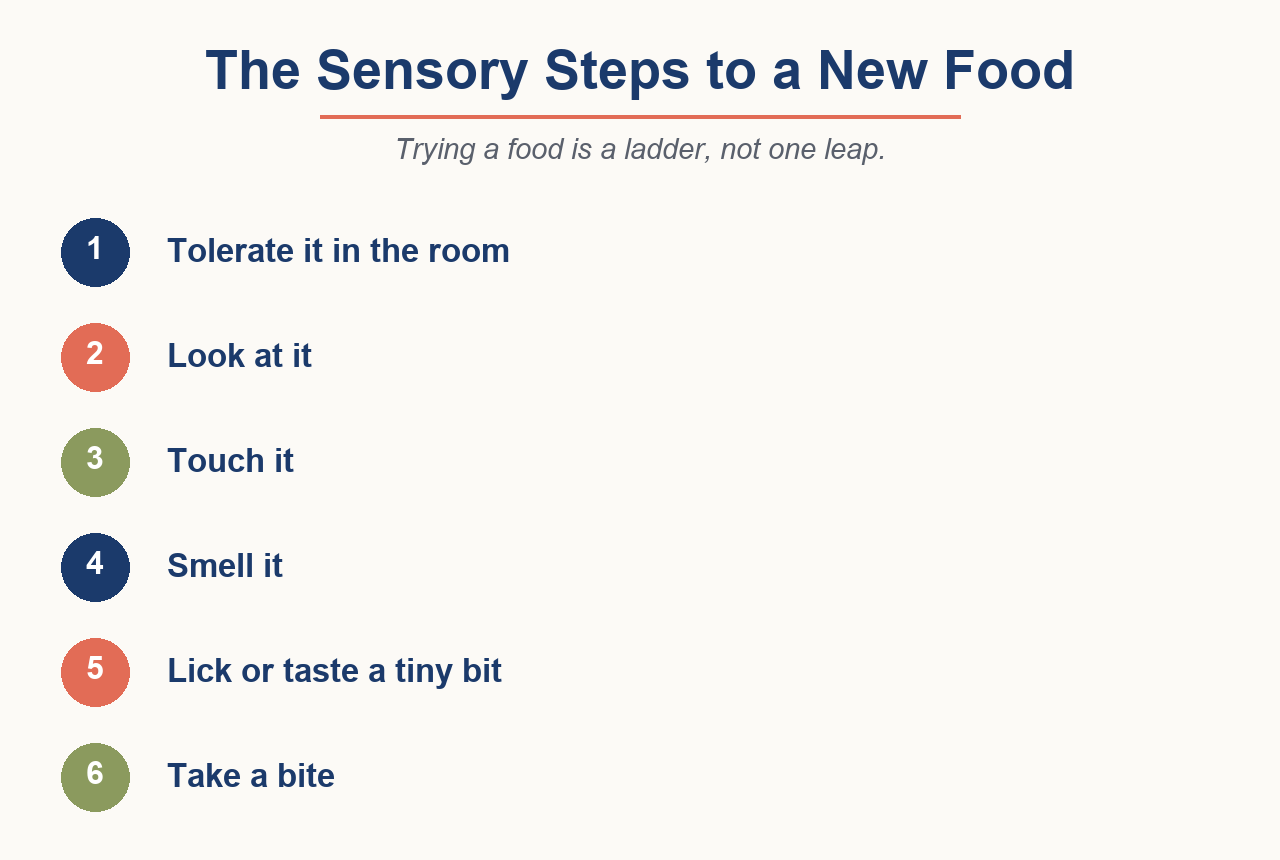 The sensory steps to trying a new food, the full ladder - Little Eaters and Talkers