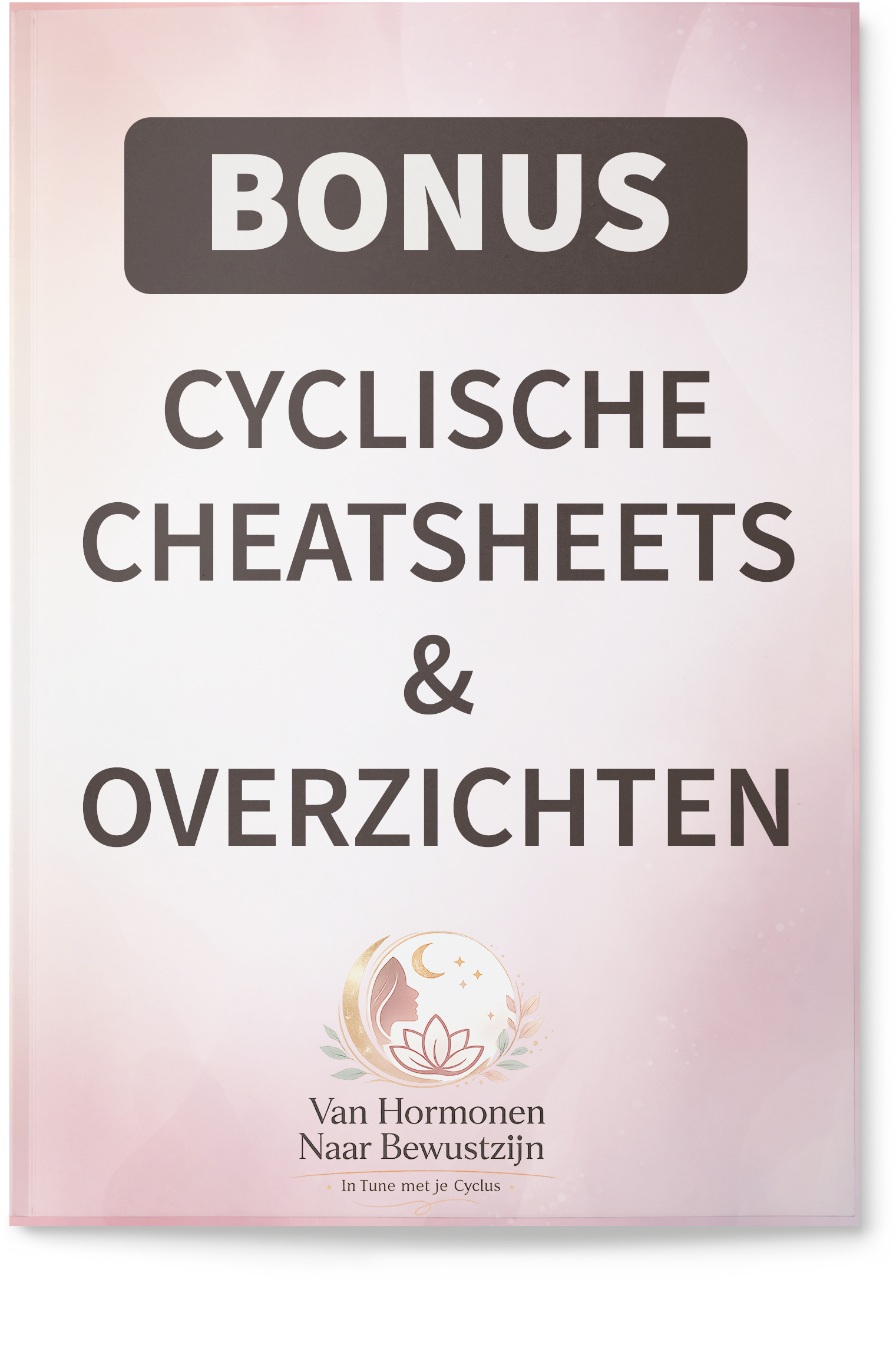 Digitaal programma ‘Van Hormonen naar Bewustzijn’ met 10 modules over menstruatiecyclus, voeding per fase, emotionele regulatie en bonusmaterialen.