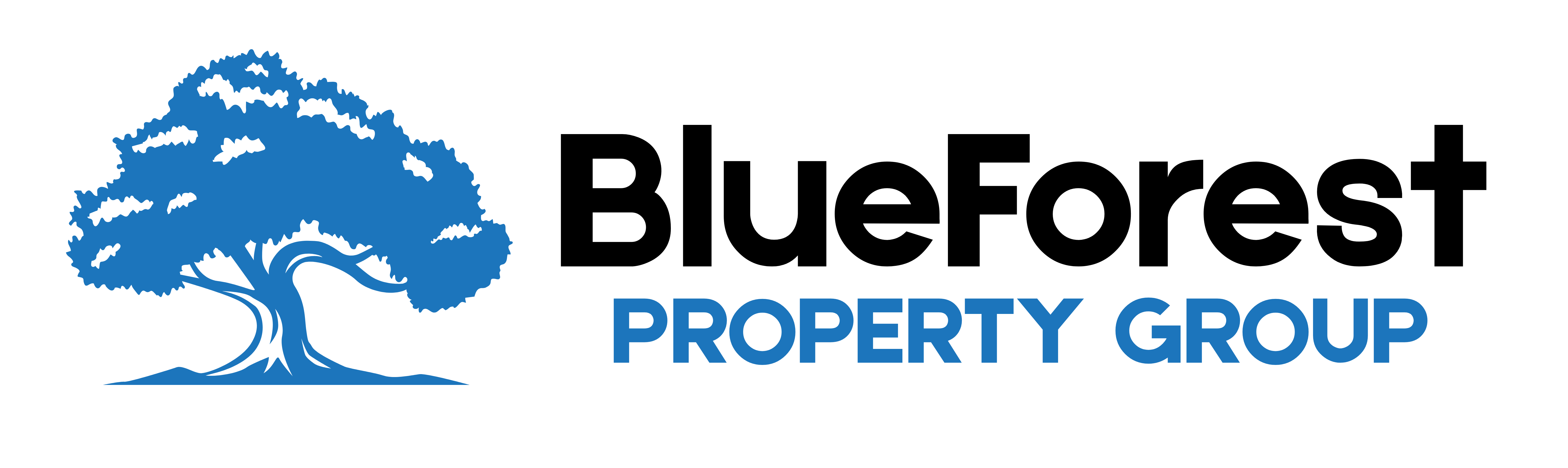 Blue Forest Property Group