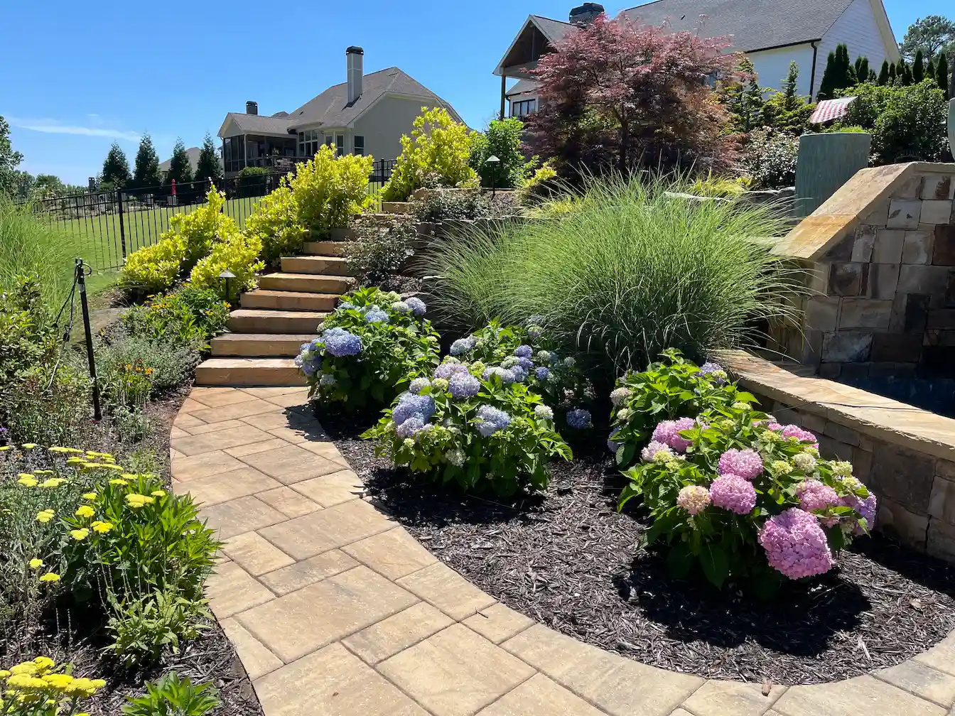 Paver walkway with hydrangea plantings