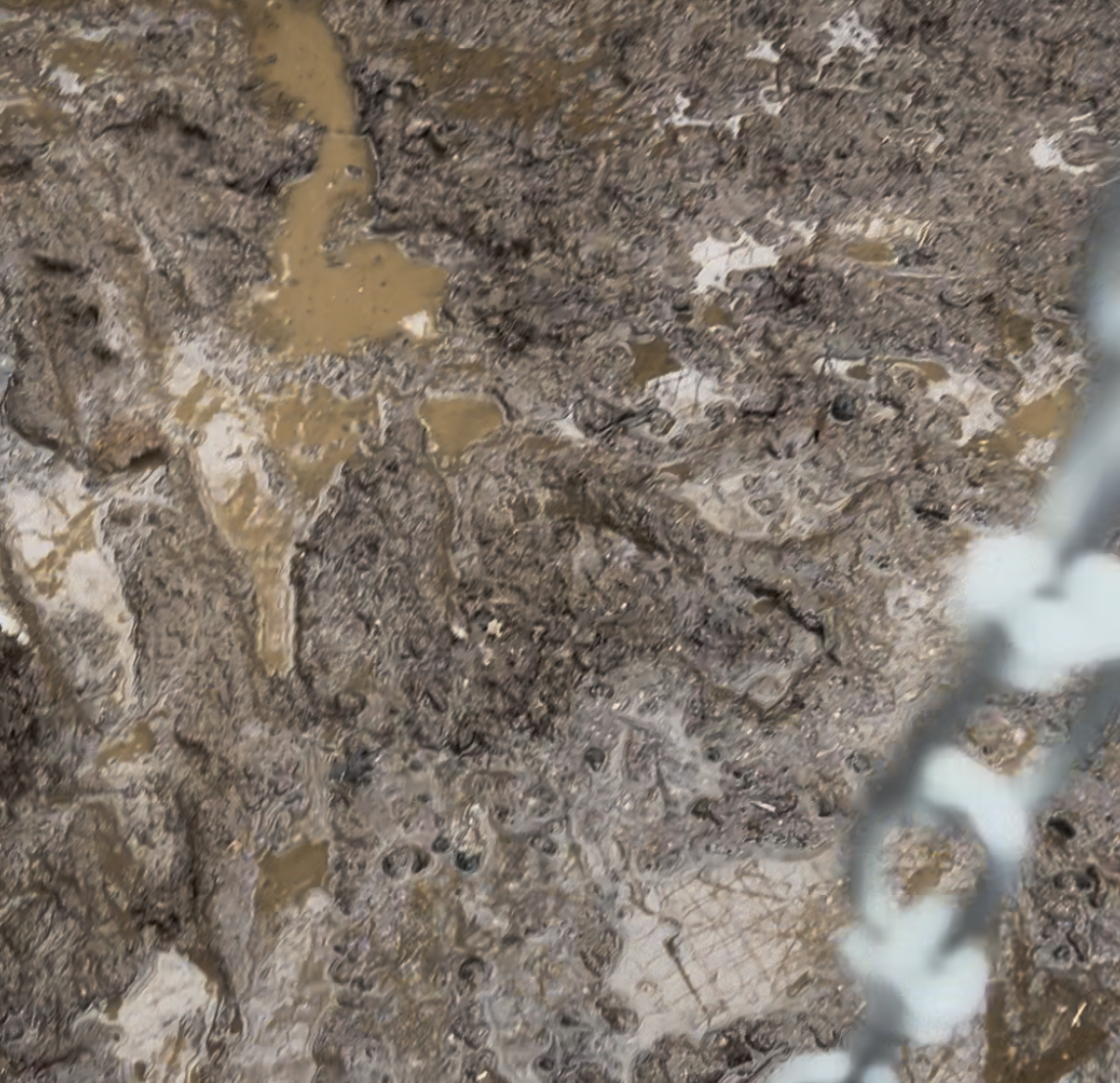 Mud at Wool & Wonder