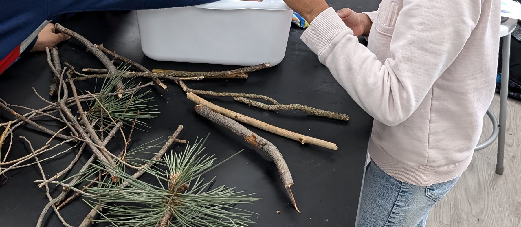 Branches and pine needles laid out on the lab table for a building challenge.