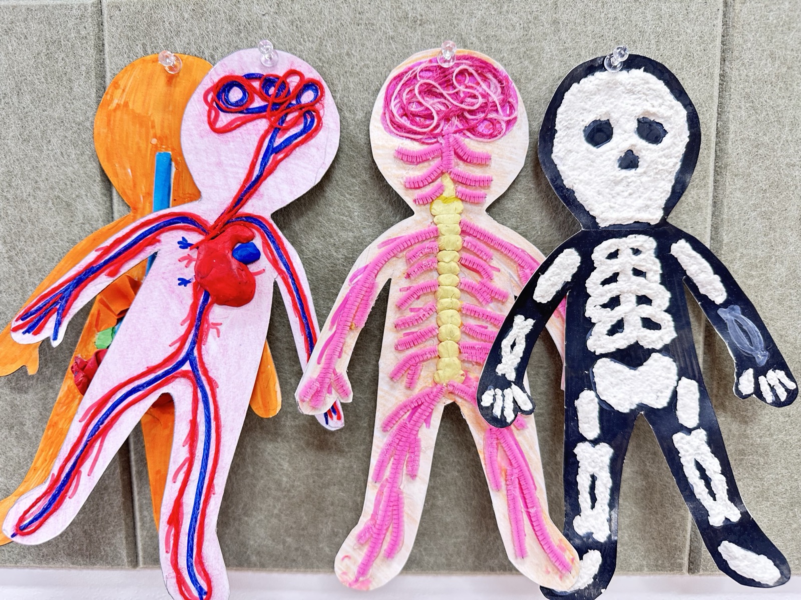 Three body-system figures made by BioTroopers students: the circulatory system in red and blue thread with a clay heart, the nervous system in pink pipe cleaners, and a white skeleton on black.