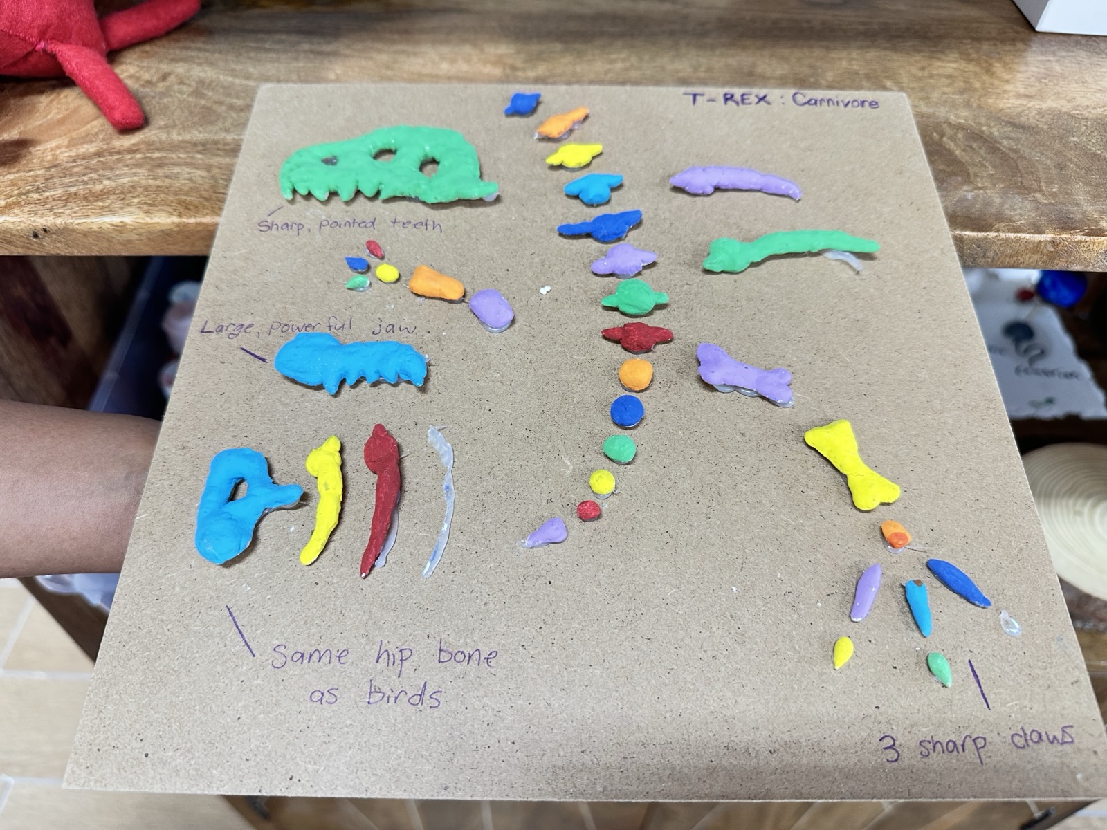 A dinosaur skeleton sculpted from coloured clay in a BioTroopers Cubism workshop.