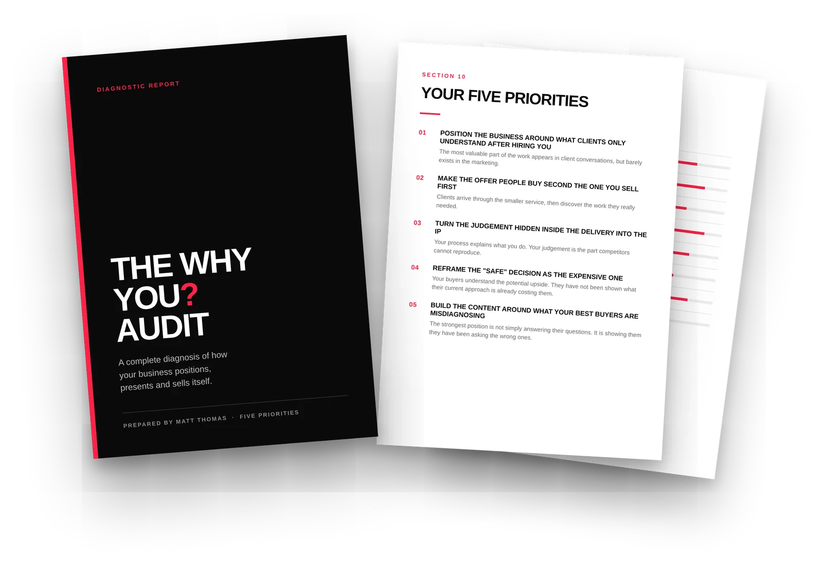 The Why You? Audit report, showing the cover and two inside pages