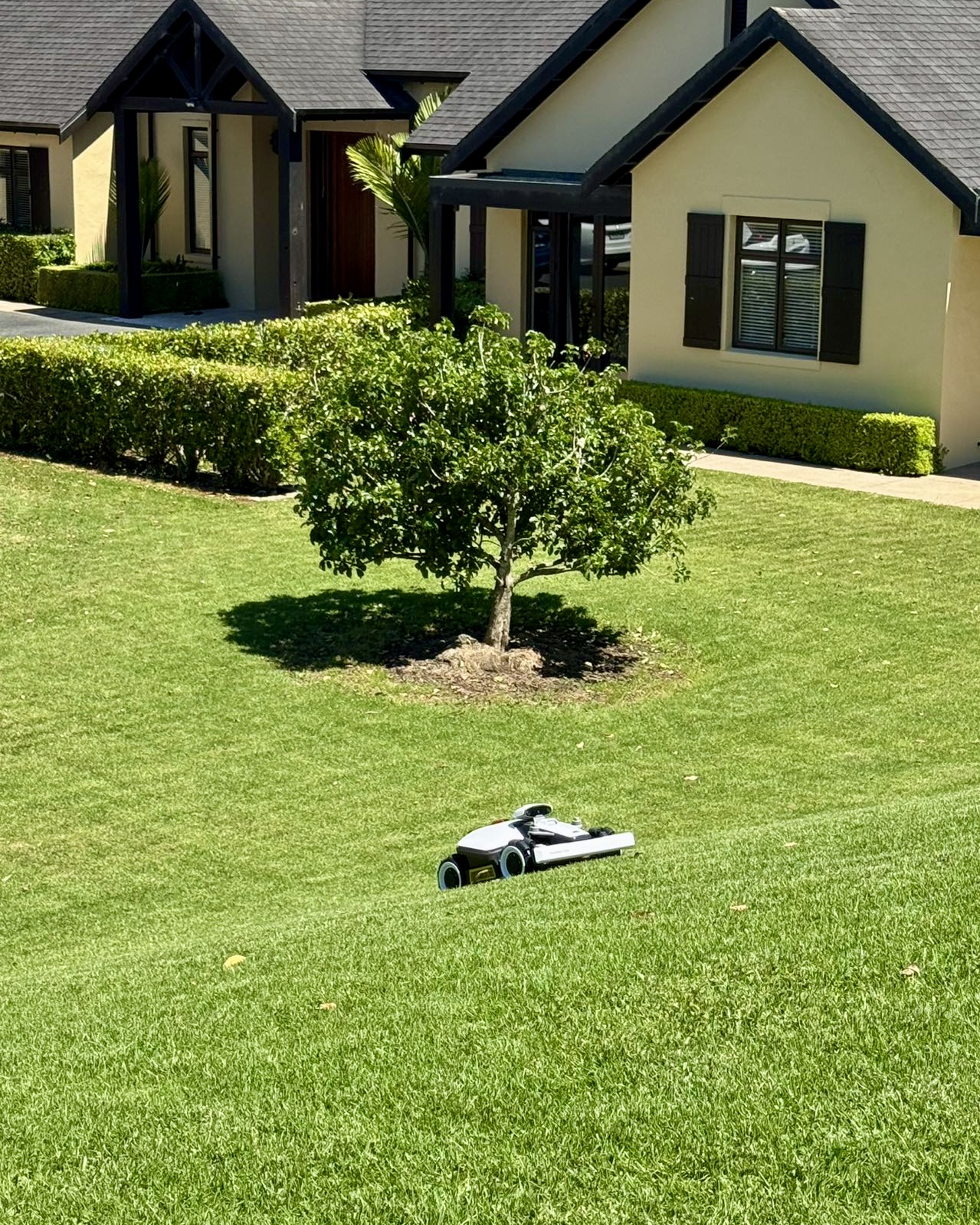 Pristine Lawn Striping Shot 3