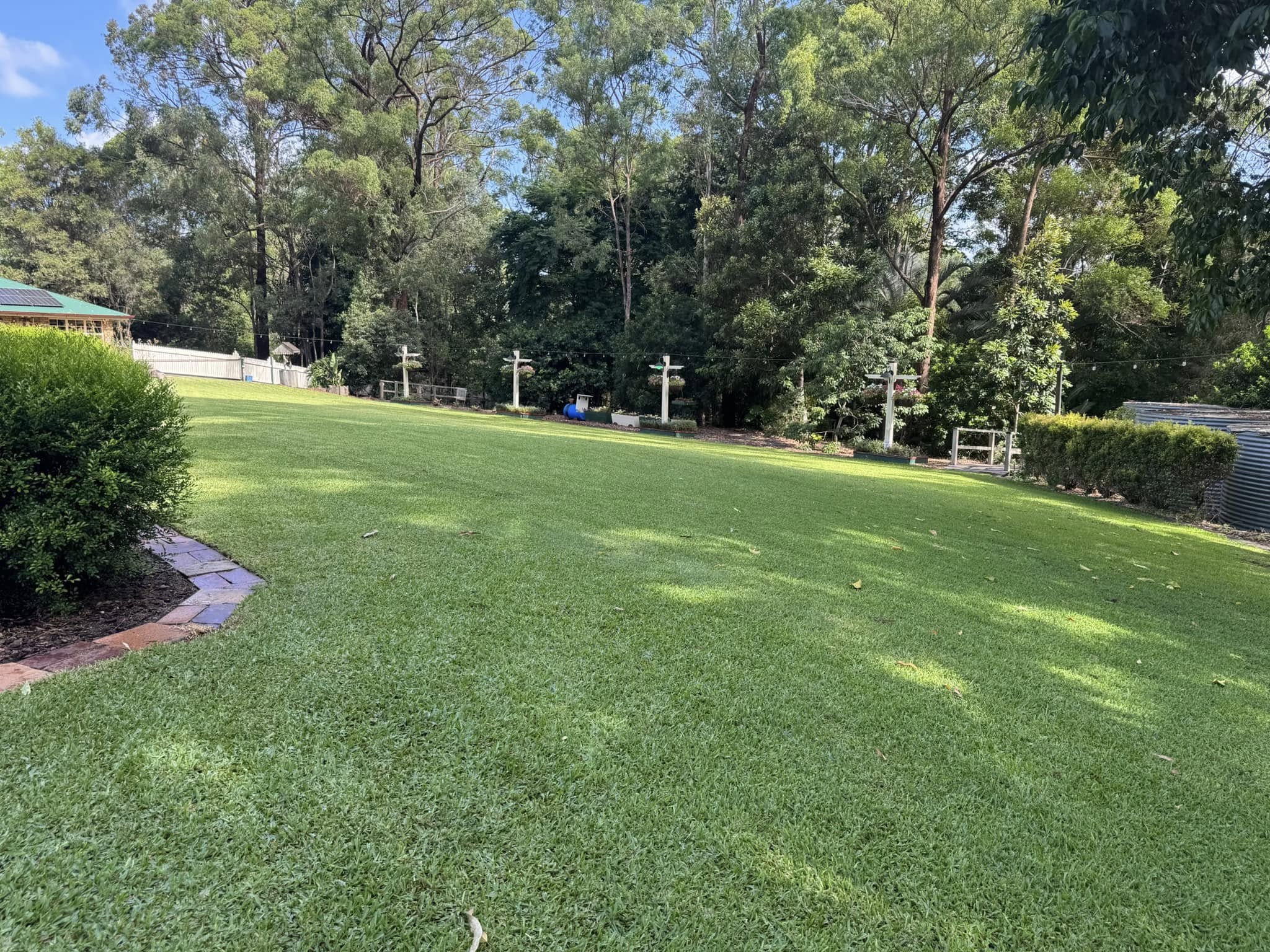 Pristine Lawn Striping Shot 2